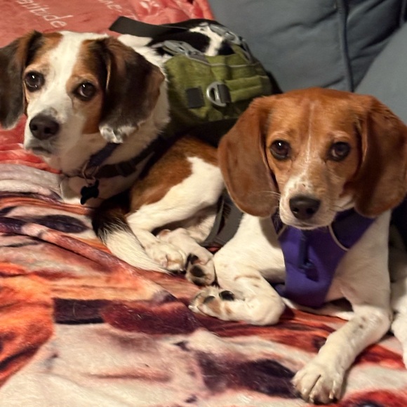 Meet your Posher, Kelly - Picture 2 of 7